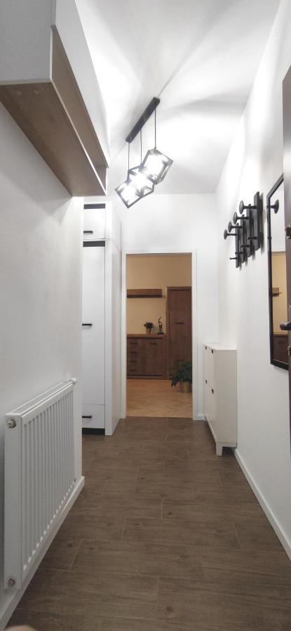 Apartament przy Parku Rzeszów Zewnętrze zdjęcie